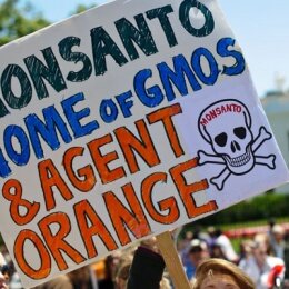 Cientos de ciudades en marcha mundial contra Monsanto